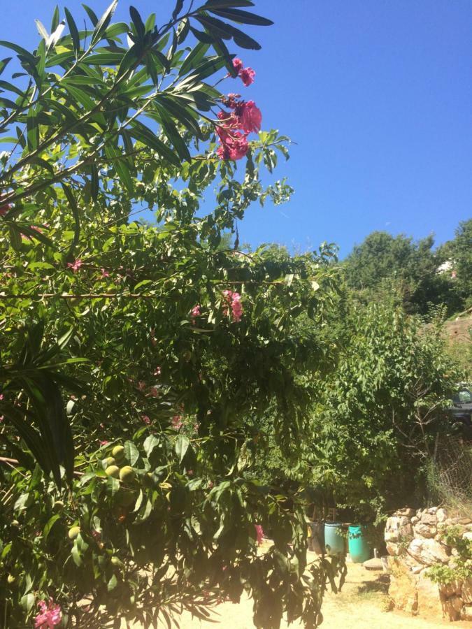Ferienwohnung Toni I Kristina Baška Exterior foto